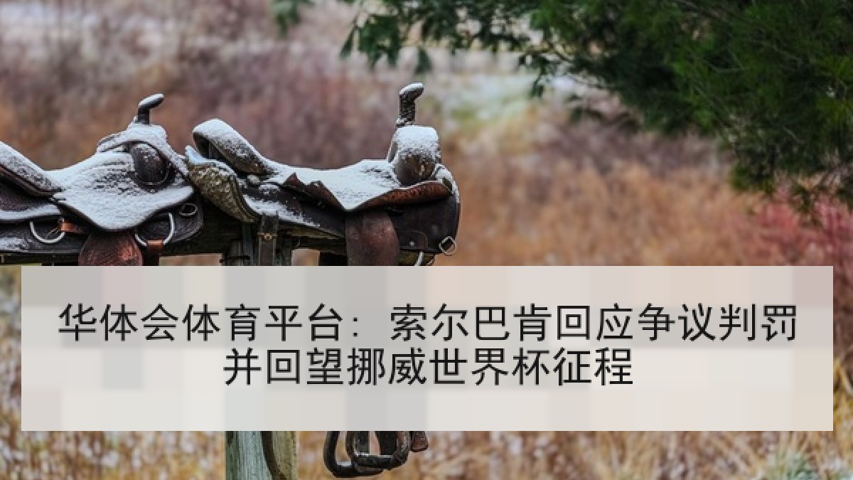 华体会体育平台: 索尔巴肯回应争议判罚并回望挪威世界杯征程