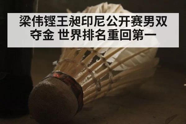 梁伟铿王昶印尼公开赛男双夺金 世界排名重回第一